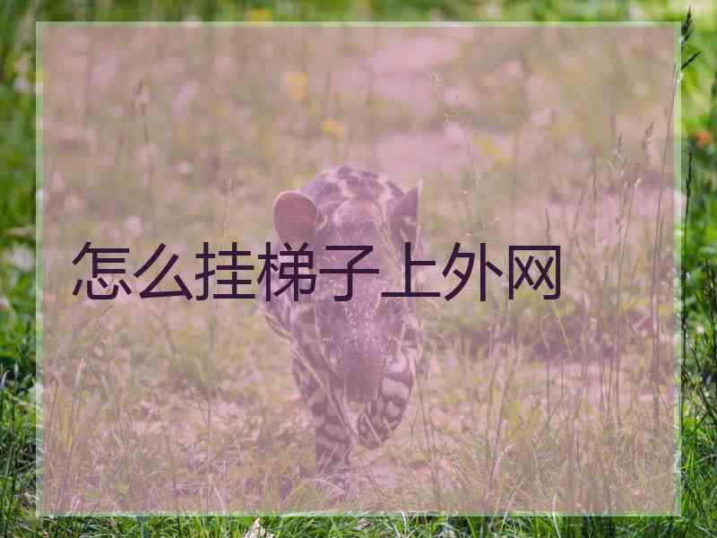 怎么挂梯子上外网
