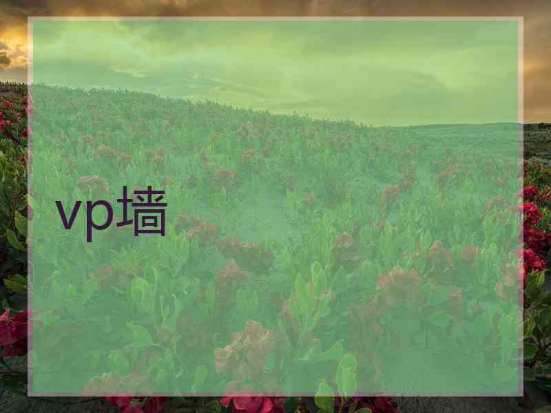 vp墙
