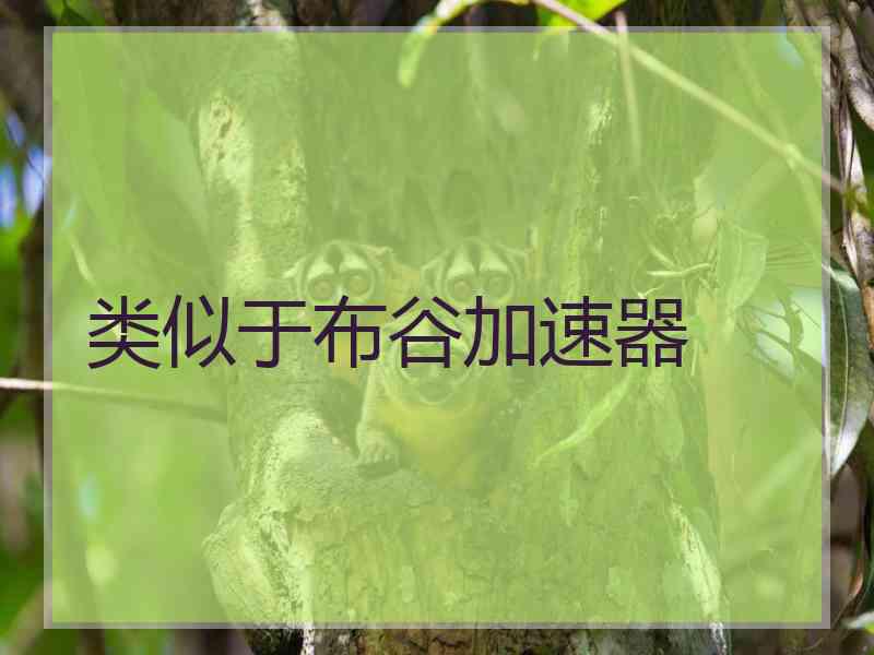 类似于布谷加速器