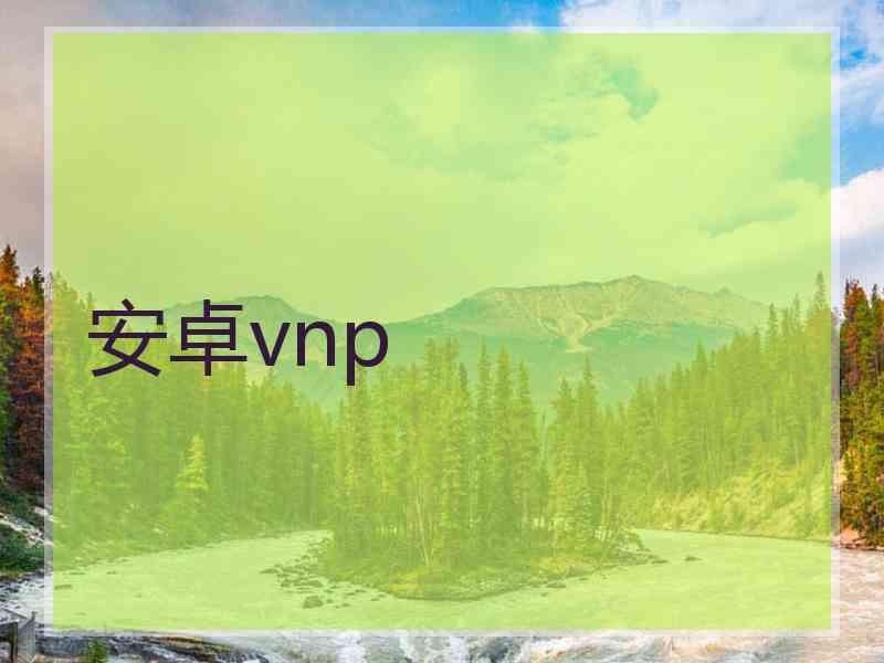 安卓vnp