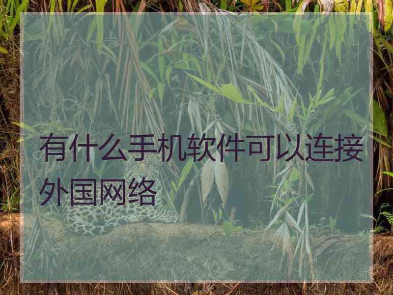 有什么手机软件可以连接外国网络