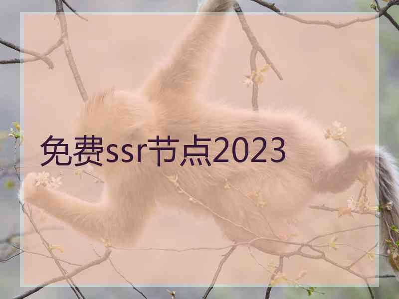 免费ssr节点2023