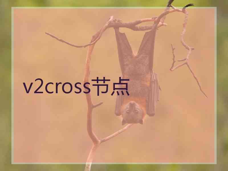 v2cross节点