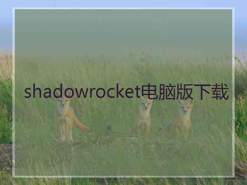 shadowrocket电脑版下载
