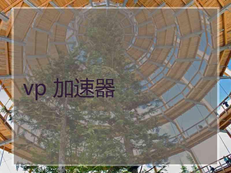 vp 加速器