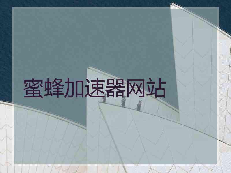 蜜蜂加速器网站