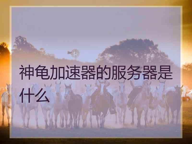 神龟加速器的服务器是什么
