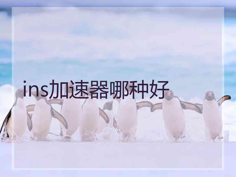 ins加速器哪种好