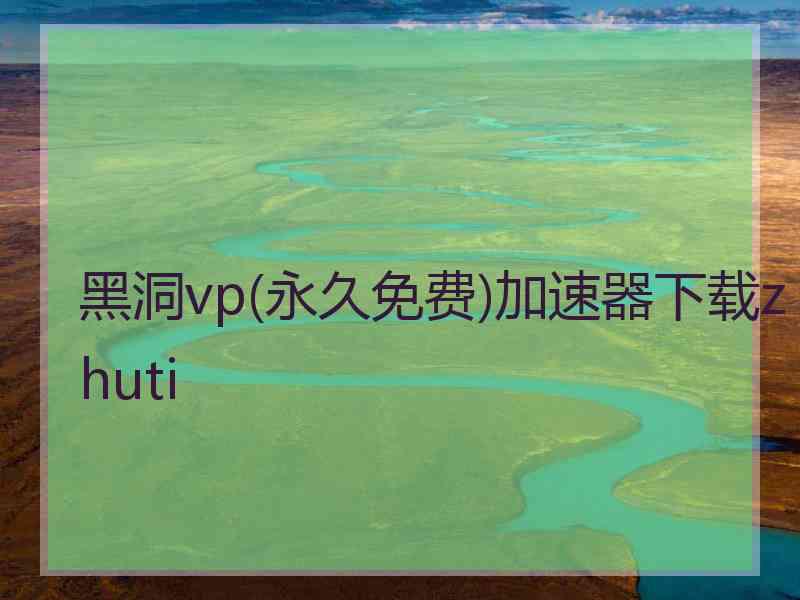 黑洞vp(永久免费)加速器下载zhuti