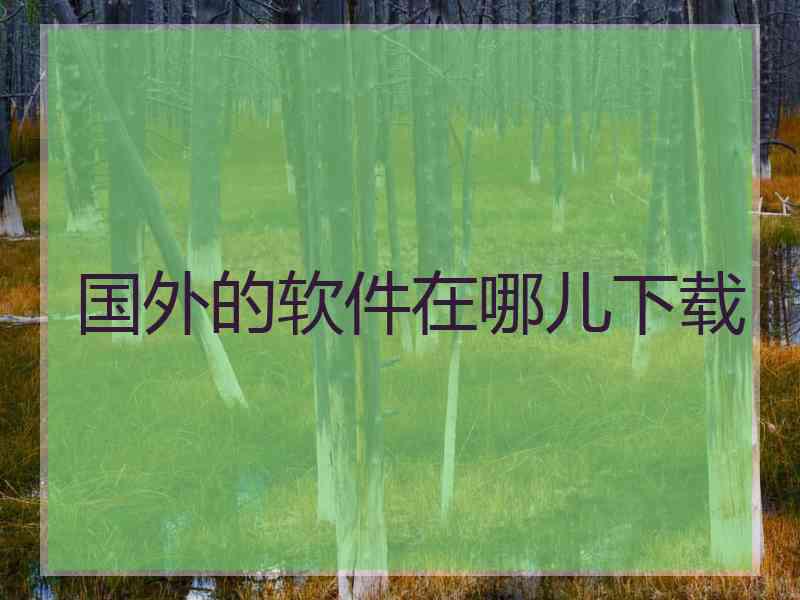 国外的软件在哪儿下载