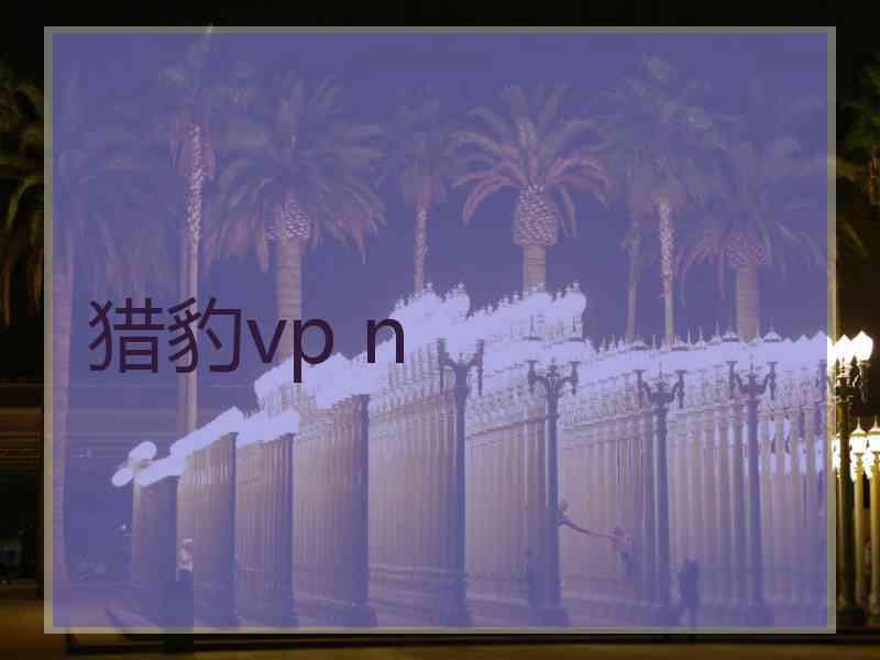 猎豹vp n