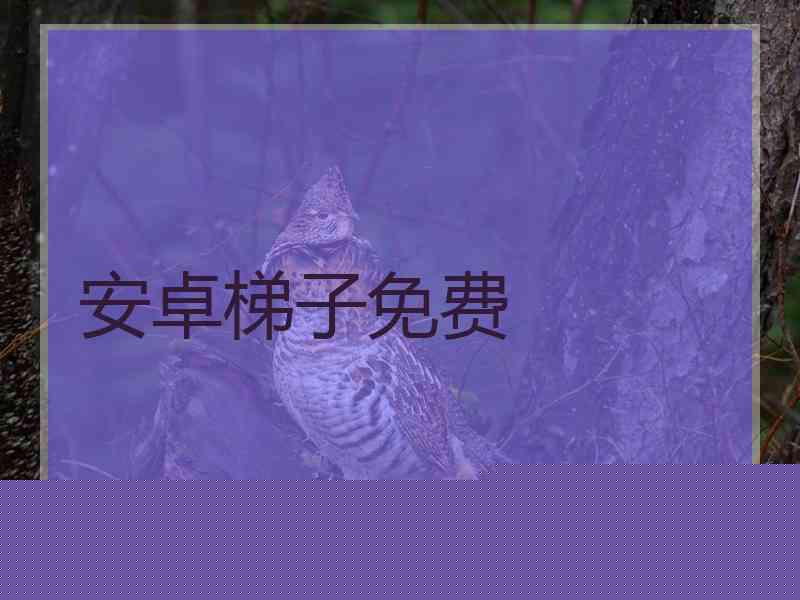 安卓梯子免费