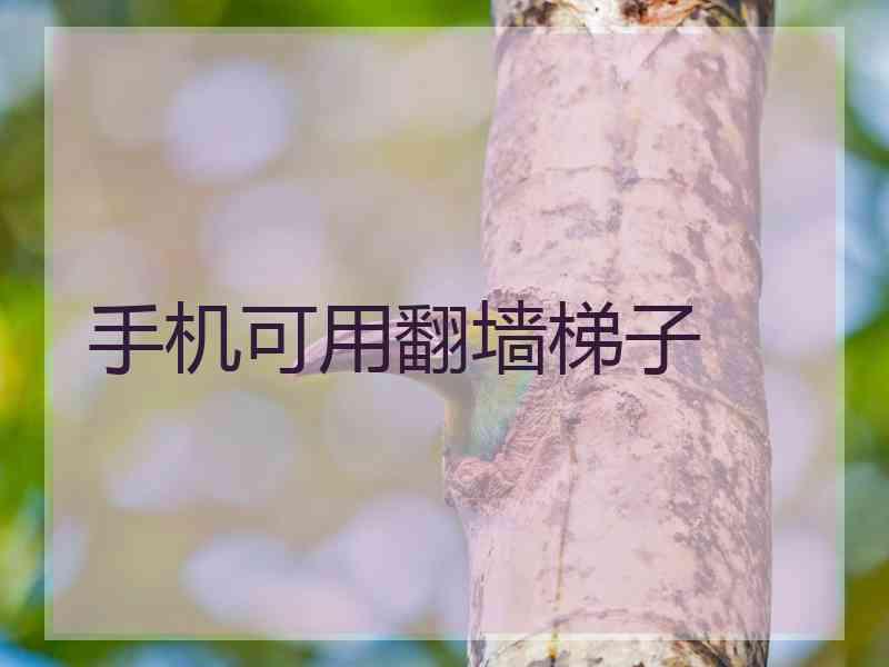 手机可用翻墙梯子