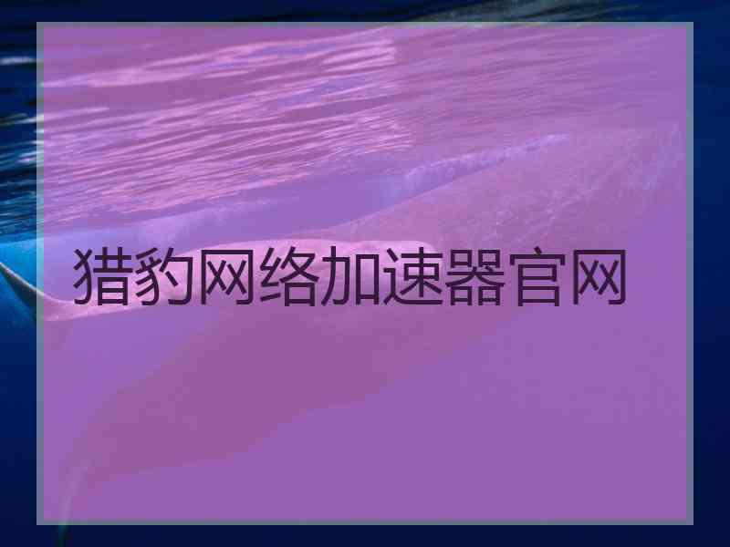 猎豹网络加速器官网