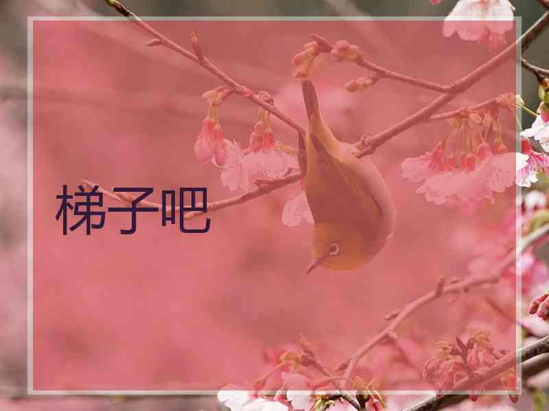 梯子吧