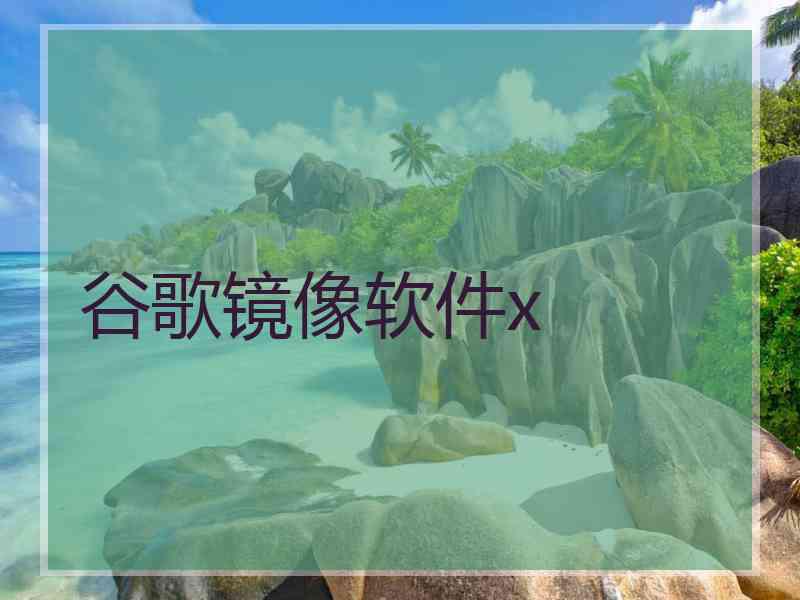 谷歌镜像软件x