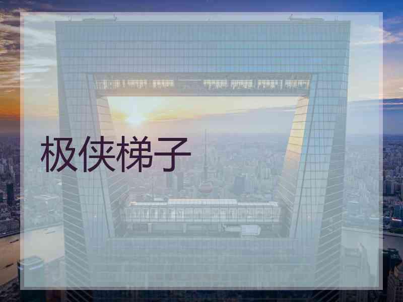 极侠梯子