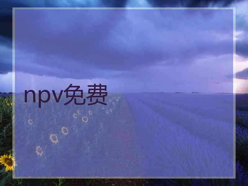 npv免费