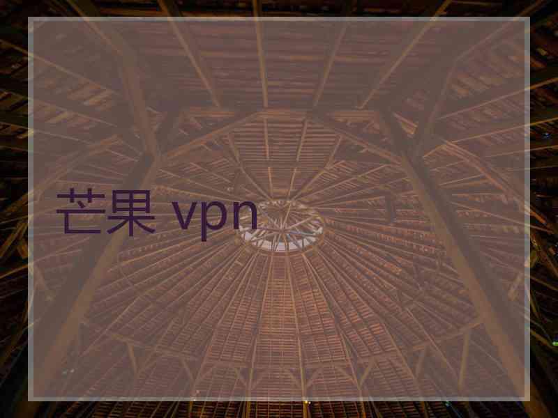 芒果 vpn