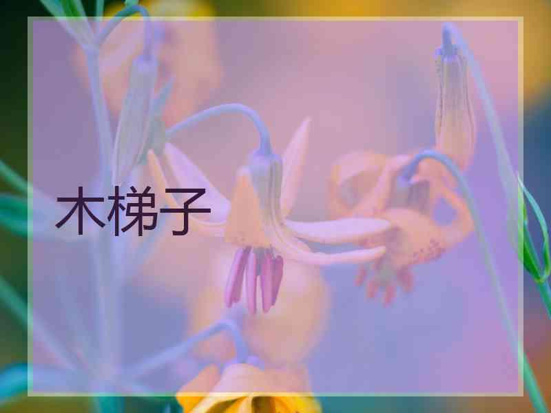 木梯子