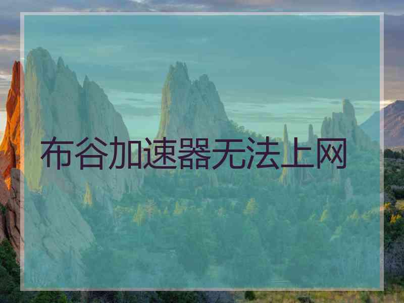 布谷加速器无法上网