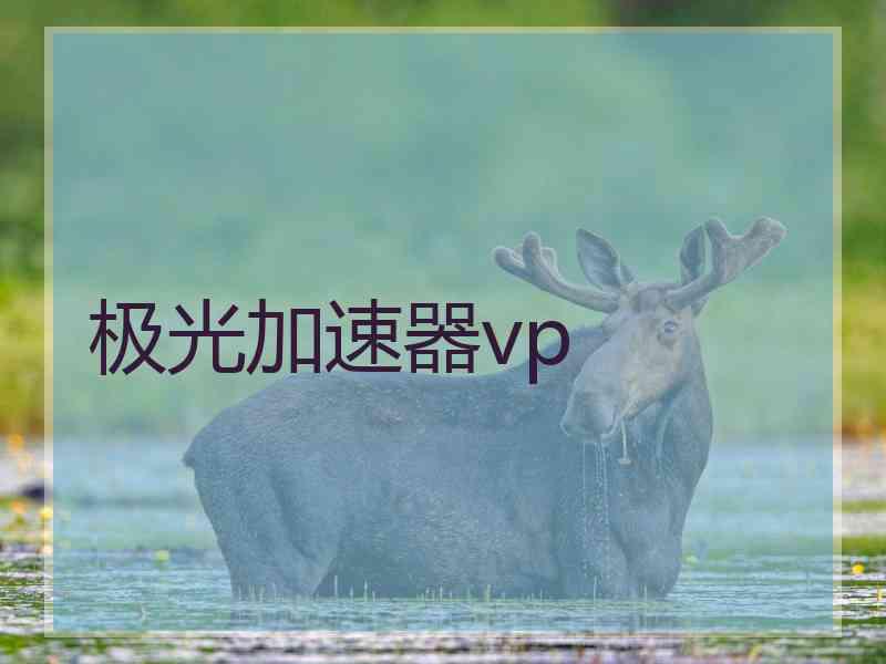 极光加速器vp