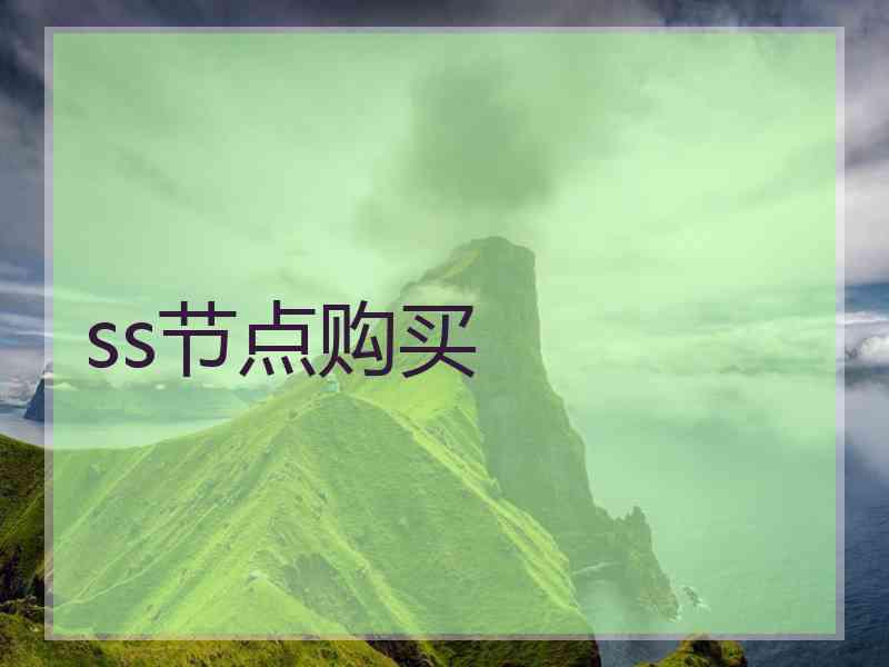 ss节点购买