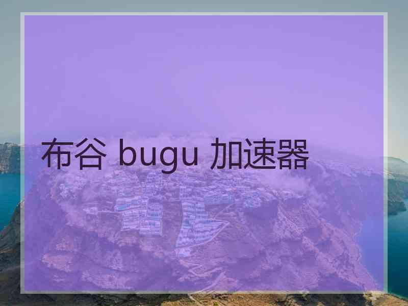 布谷 bugu 加速器