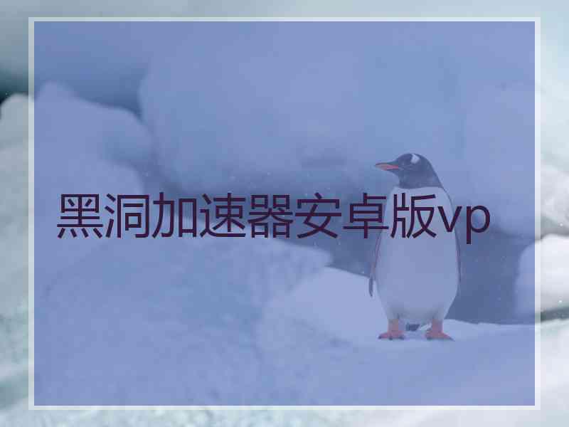 黑洞加速器安卓版vp