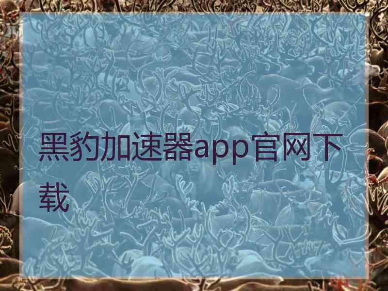 黑豹加速器app官网下载