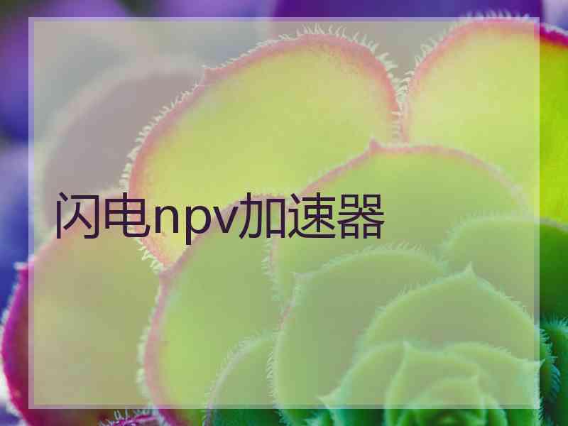 闪电npv加速器