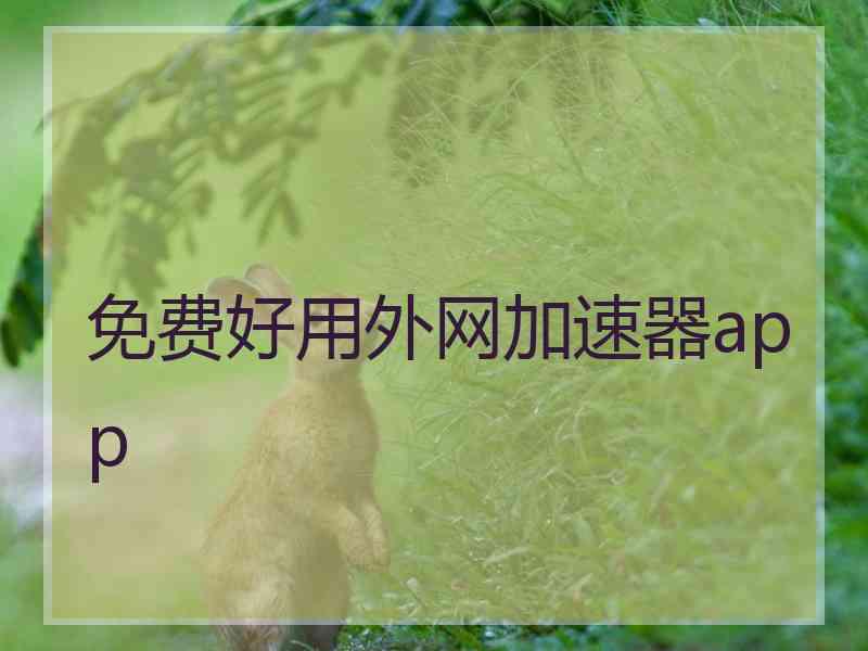 免费好用外网加速器app