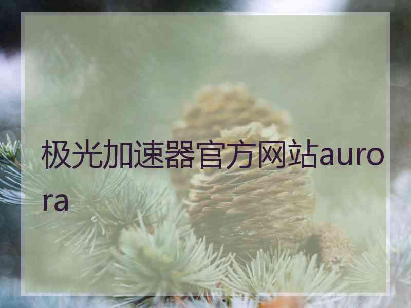 极光加速器官方网站aurora