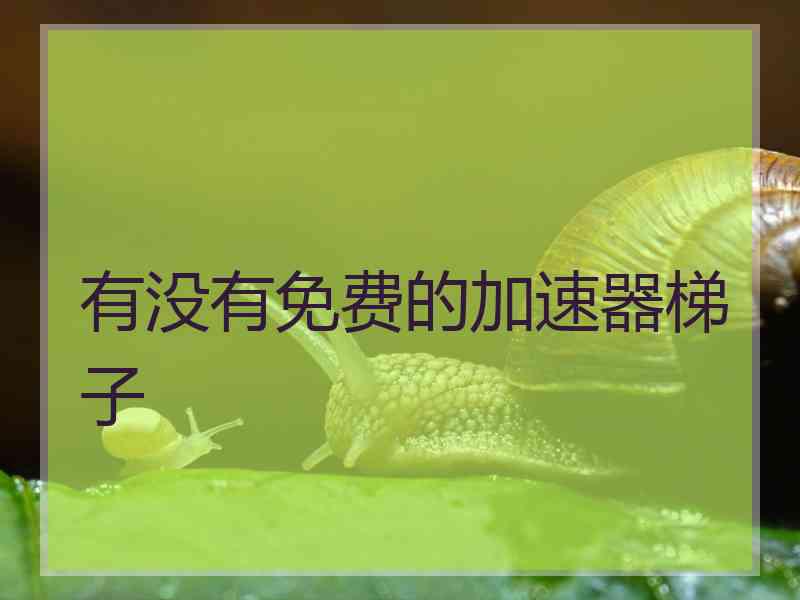 有没有免费的加速器梯子