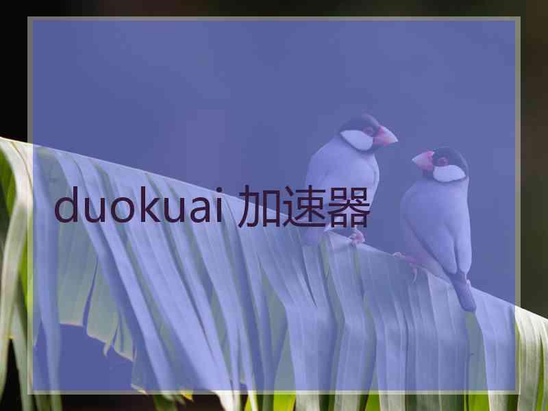 duokuai 加速器