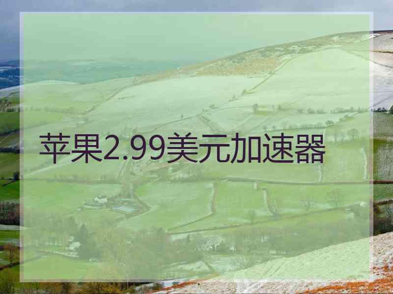 苹果2.99美元加速器