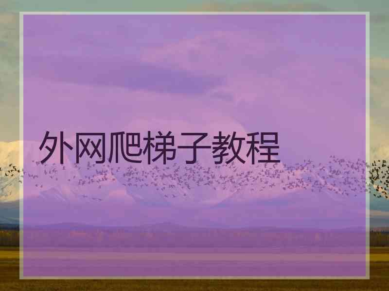 外网爬梯子教程