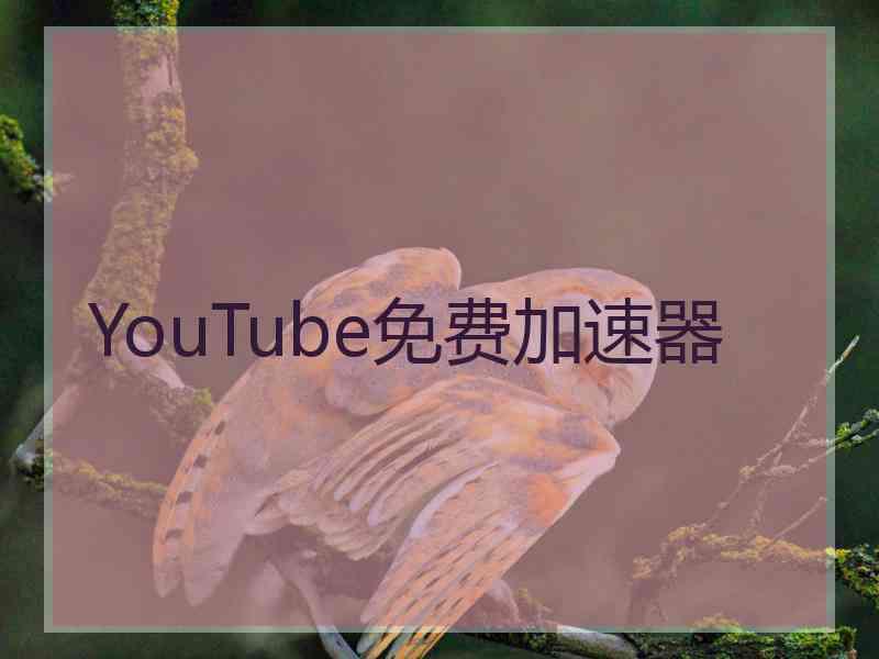 YouTube免费加速器