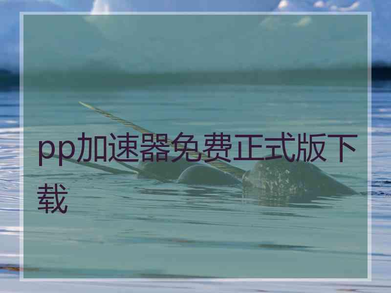 pp加速器免费正式版下载