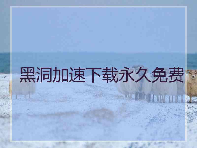 黑洞加速下载永久免费
