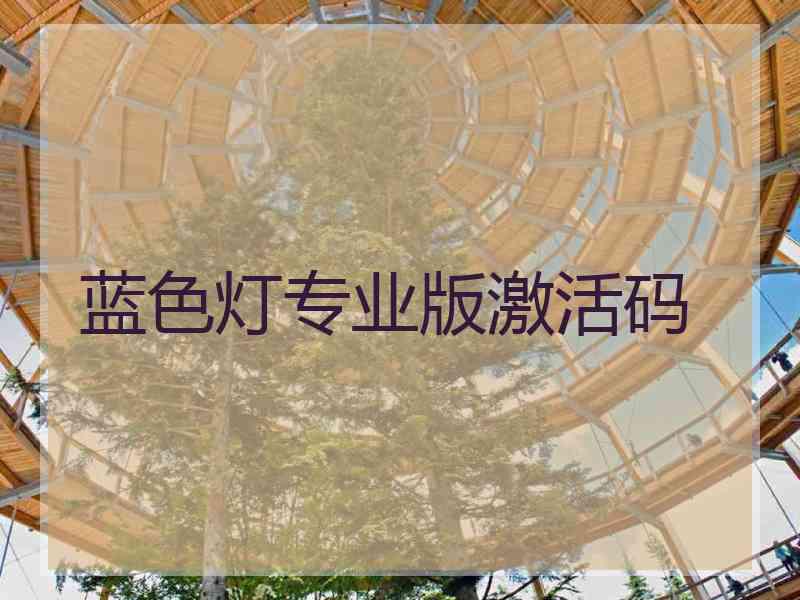 蓝色灯专业版激活码