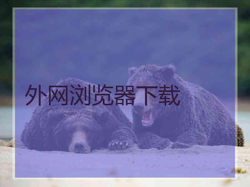 外网浏览器下载