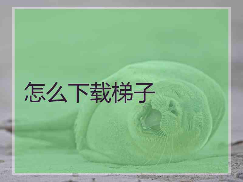 怎么下载梯子