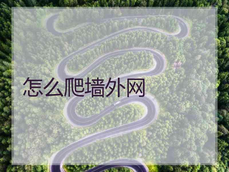 怎么爬墙外网