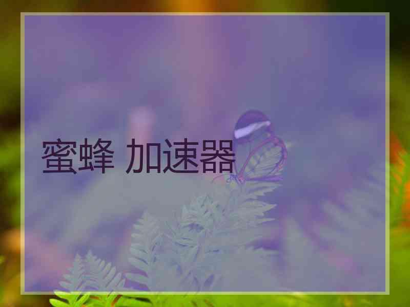蜜蜂 加速器
