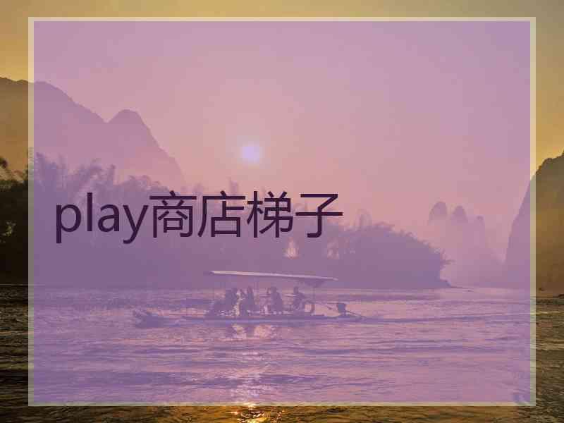 play商店梯子