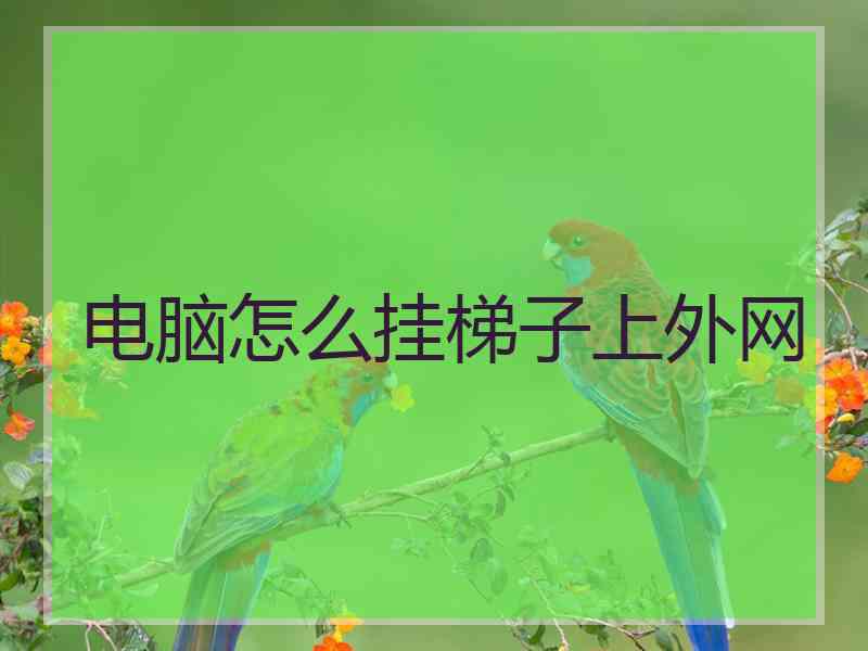 电脑怎么挂梯子上外网