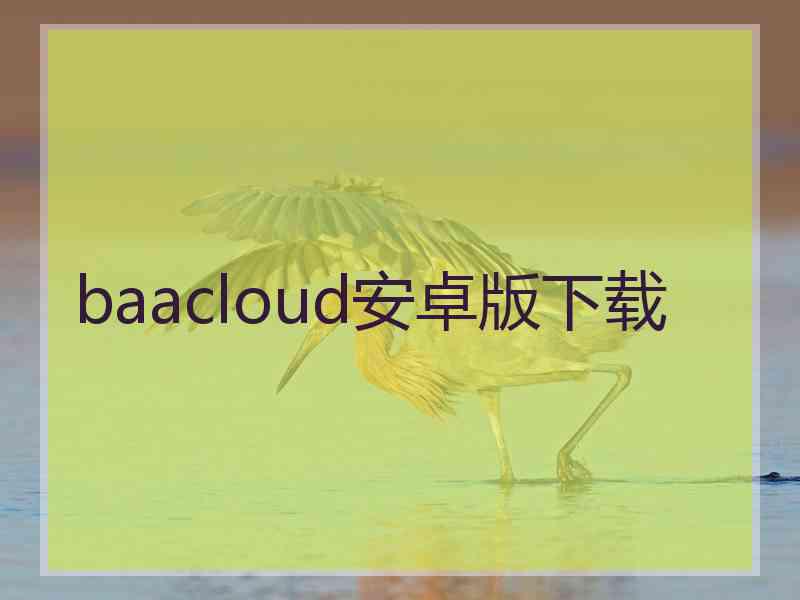 baacloud安卓版下载