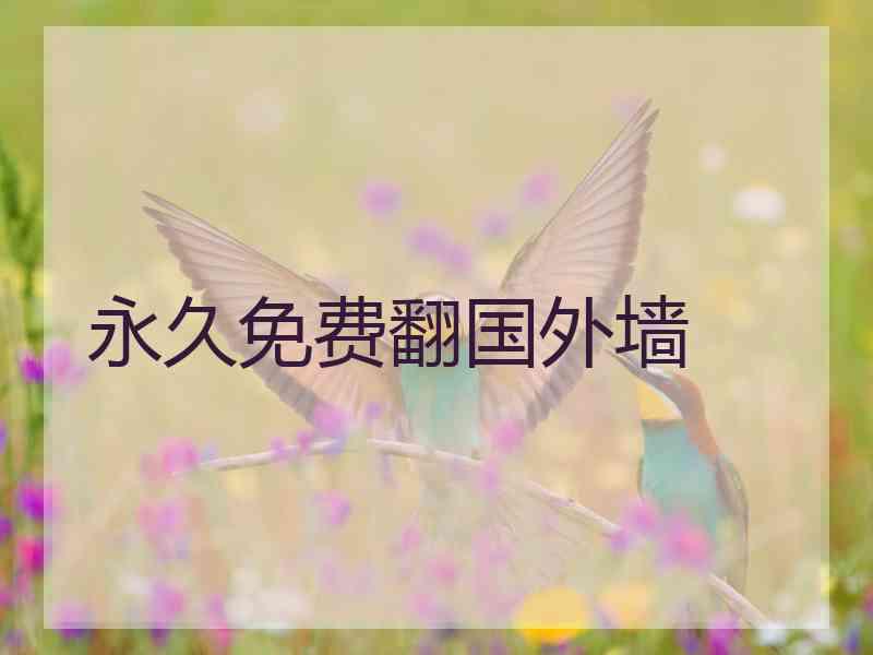 永久免费翻国外墙