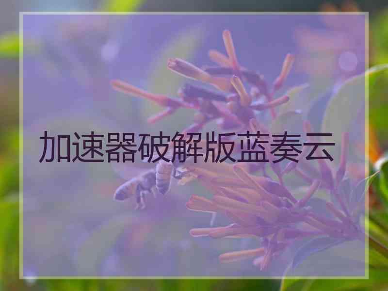 加速器破解版蓝奏云